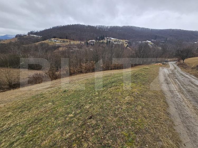 Teren Construcții extravilan de 13139 mp, în Abrud