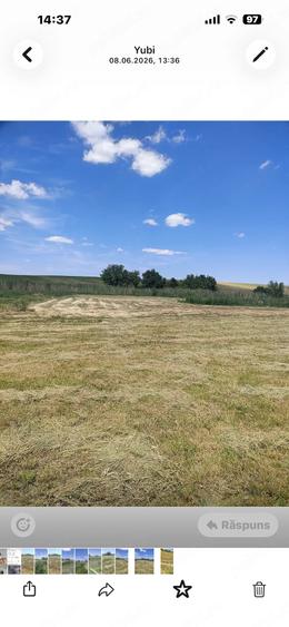 Teren de 5000 mp, în Satchinez