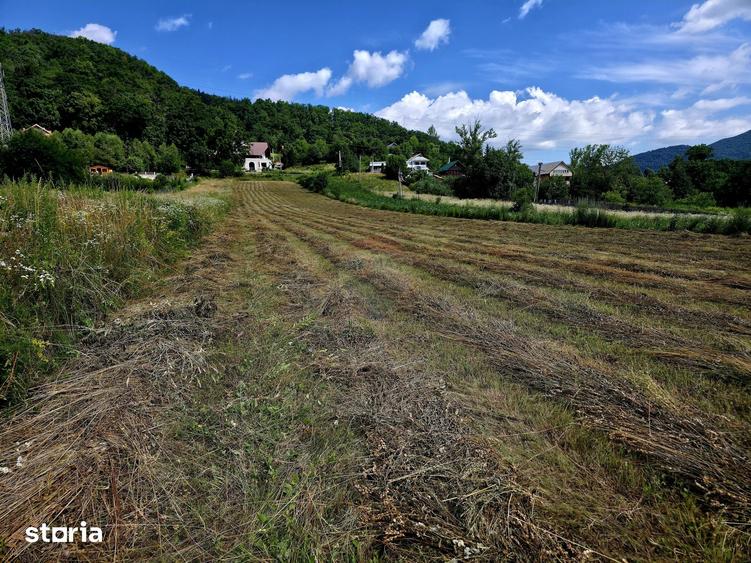 Teren de 600 mp, în Alexandru cel Bun