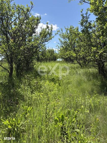 Teren 2.200 mp | 11 km de Pitesti | Vanzare integral sau parcela de 50 - 4