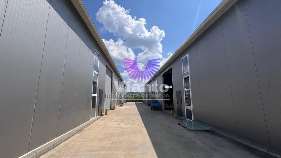 Spațiu industrial, de 600 mp, în Șura Mare