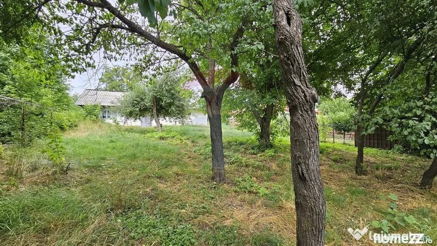 Casă cu 2 camere cu Teren 9200 Mp în Pădureni (Șendriceni)