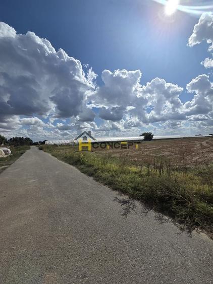 Teren Construcții intravilan de 7500 mp, în Câmpurelu
