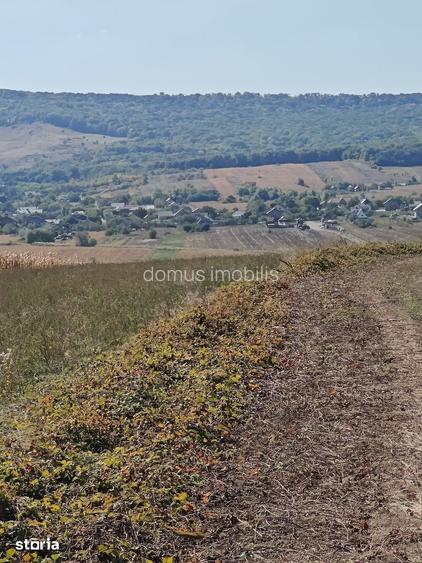 Teren de construit in zona rurala, acces asfaltat