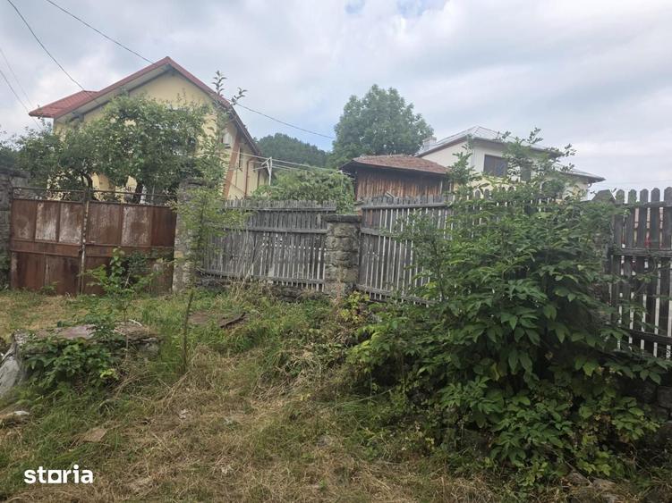 Buciumeni Dealul Mare - 6