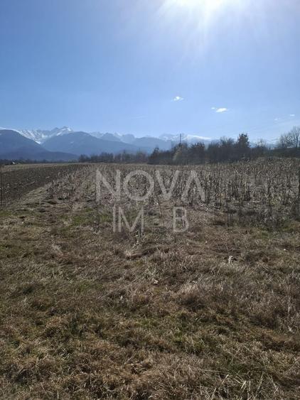 Teren agricol extravilan de 2100 mp, în Arpașu de Sus