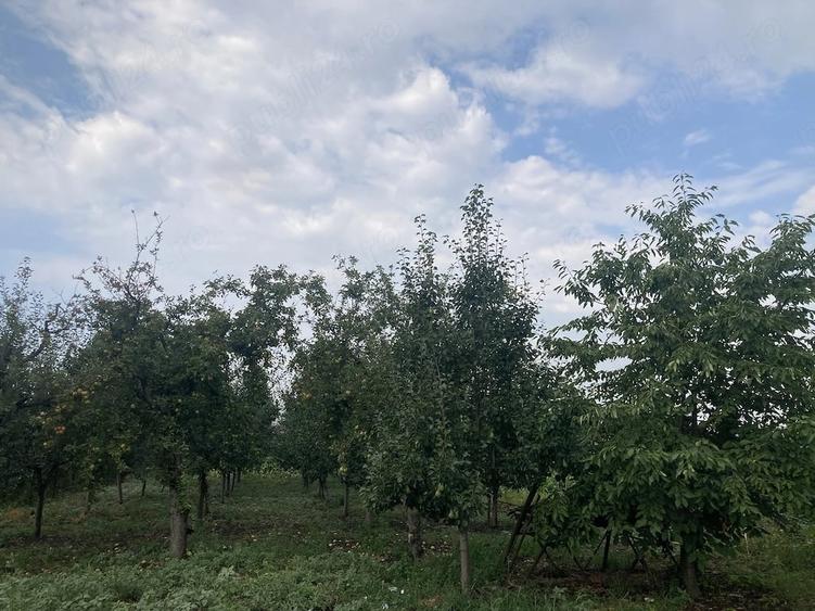 Casă cu 3 camere cu Teren 1336 Mp în Central