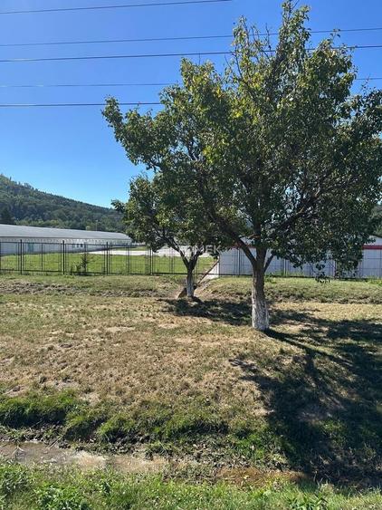 Teren Construcții intravilan de 14000 mp, în Bartolomeu