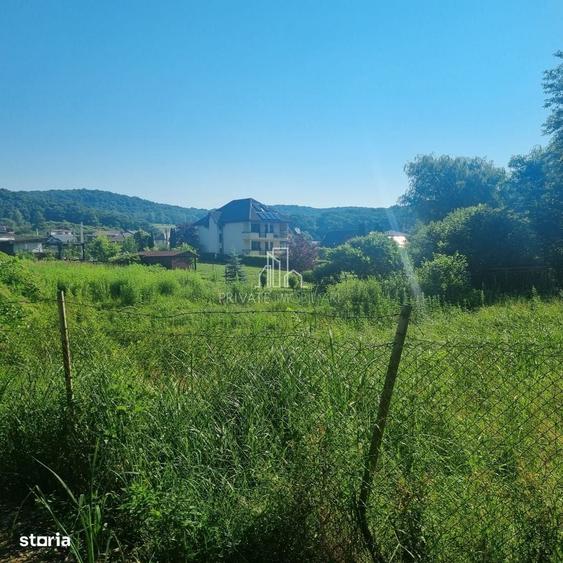 Teren Extravilan/Padure 90 000 Mp de Vanzare Zona Corunca/Acatari - 6
