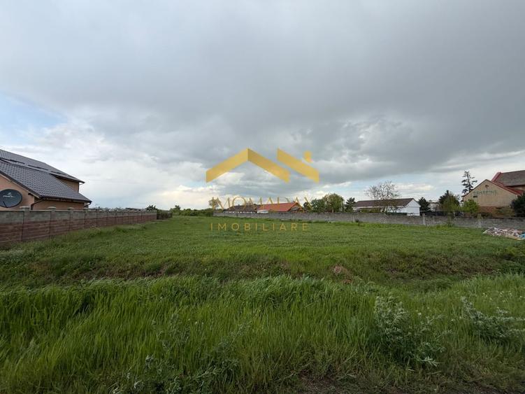 Teren Construcții intravilan de 2492 mp, în Bucovăț (Remetea Mare)