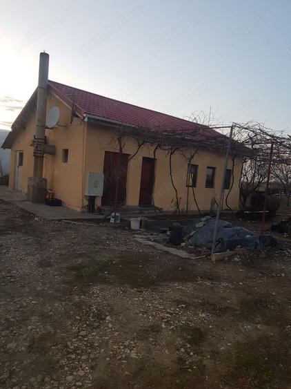 Teren de 10000 mp, în Mihail Kogălniceanu