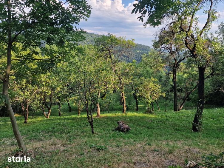 Teren de 2000 mp, în Poiana