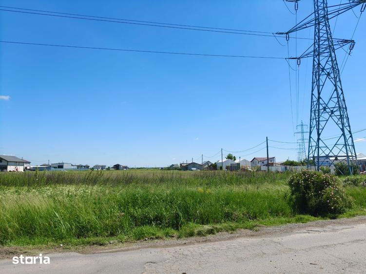 Teren de 10000 mp, în Săbăreni
