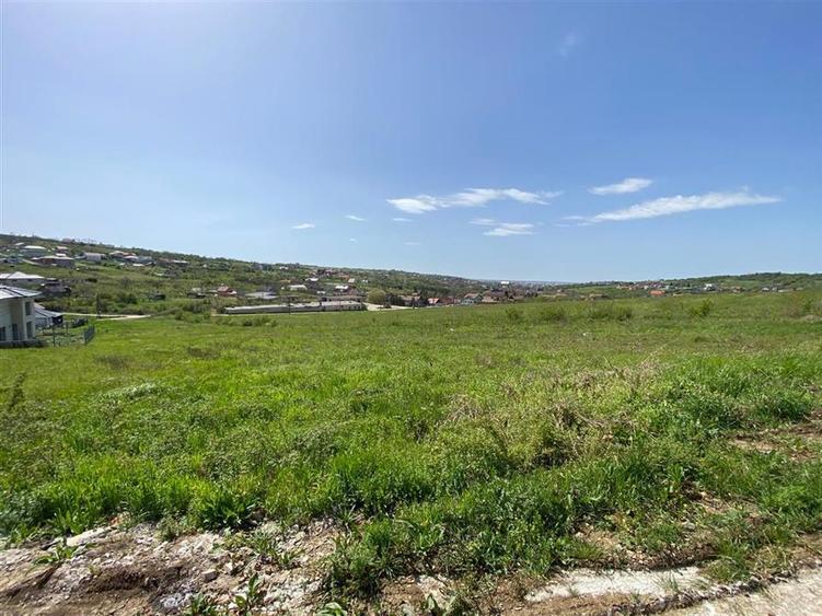 Teren Construcții intravilan de 842 mp, în Săldăbagiu de Munte
