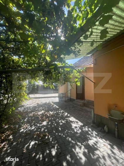 Casa de inchiriat, 50 mp, 250 mp teren, zona Centrala - 2