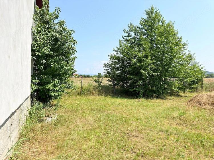 Casă cu Teren 5500 Mp în Central