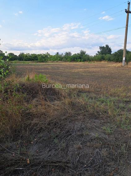 Teren intravilan de vanzare situat in sat Studini?a, comuna Studina, jude?ul Olt