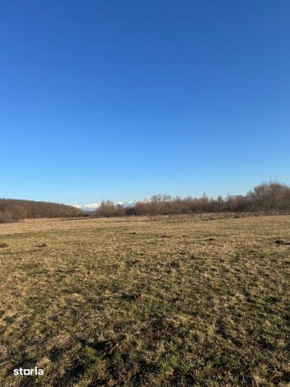 Oaza de liniste cu vedere la munti 2.400 mp langa Aeroportul Sibiu - 5