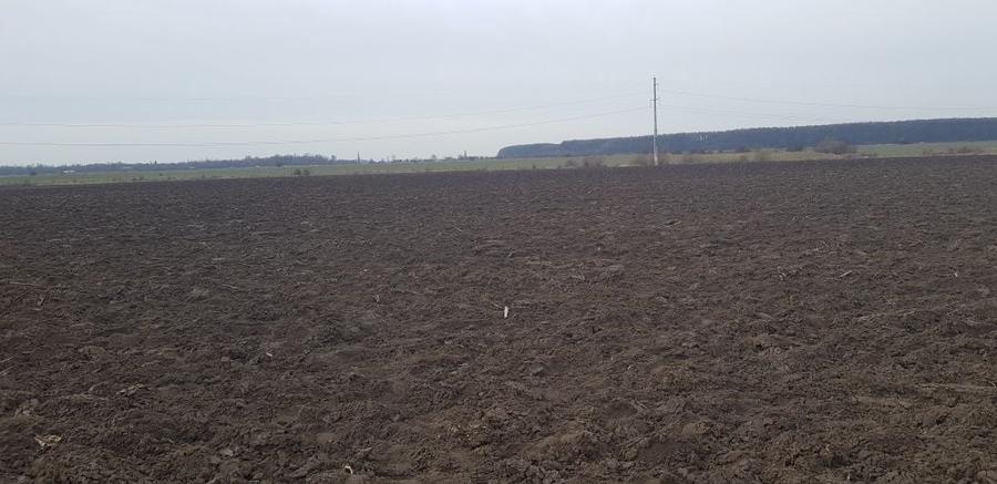 Teren de 3059 mp, în Măgurele
