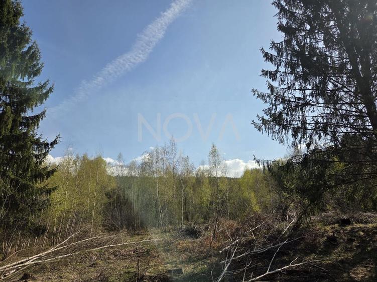 Teren Construcții intravilan de 1000 mp, în Viștișoara