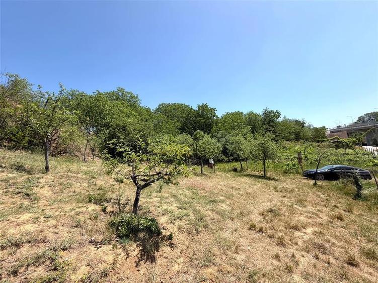 TEREN INTRAVILAN CU PIVNITA | 884 MP | ZONA EPISCOPIA | ORADEA - 4