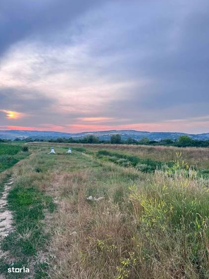 Teren de 2900 mp, în Central
