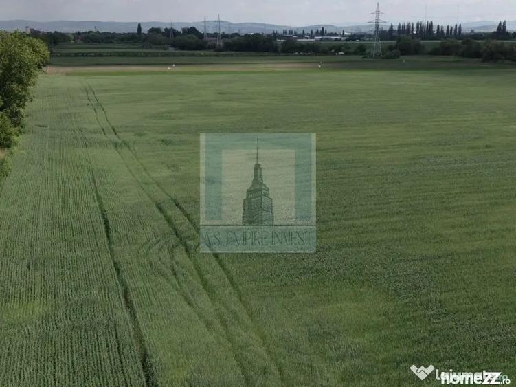 Teren de 50000 mp, în Hălchiu