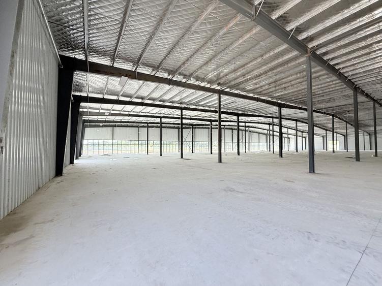Spațiu industrial, de 16,000 mp, în Afumați