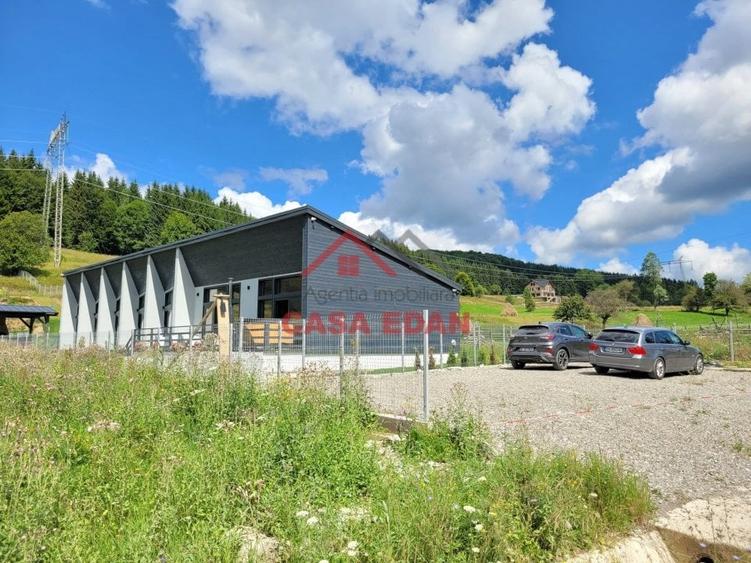 Casă individuală cu 6 camere cu Teren 2020 Mp în Valea Doftanei