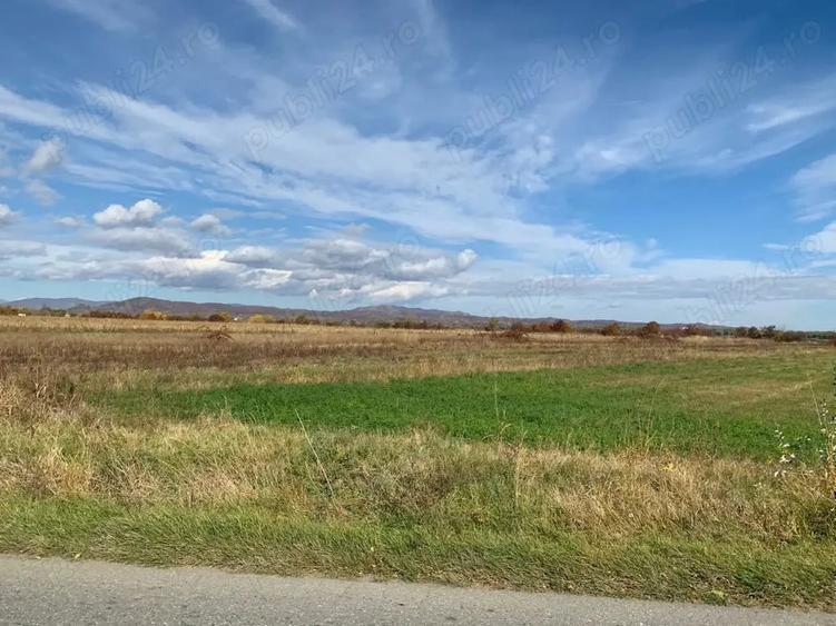 Teren intravilan 3.000 mp, deschidere 28 m, utilita?i Magureni, Prahova - 4