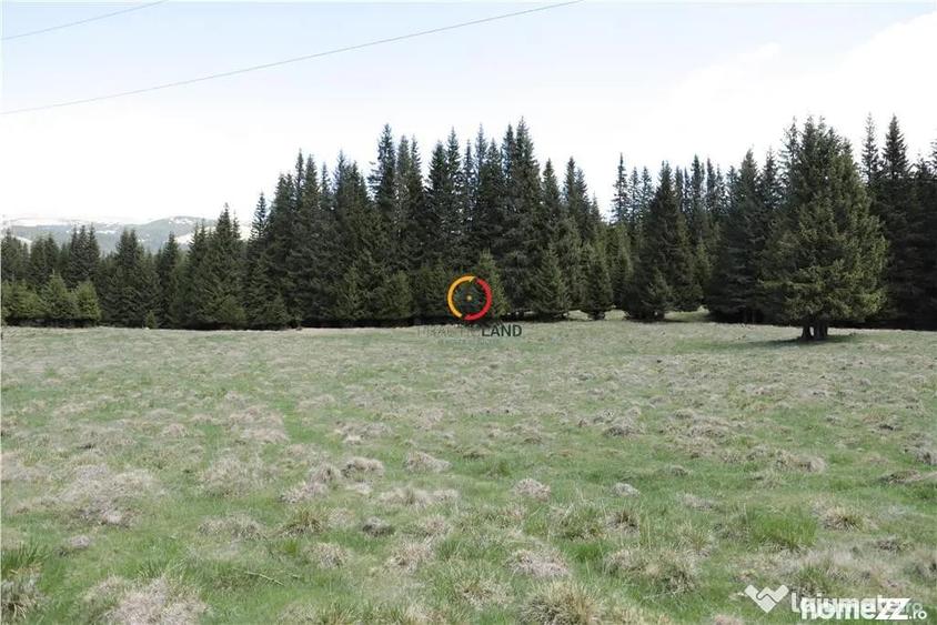 Teren de 50000 mp, în Moroeni