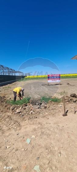 Teren 5,000mp Dobroesti / None - 4