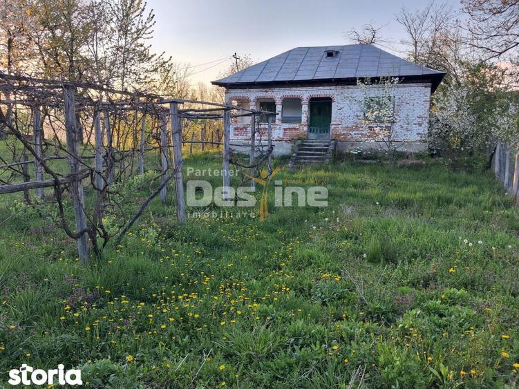 Casa batraneasca cu teren 1150 mp, vie si livada ?erbanesti, Paus - 4