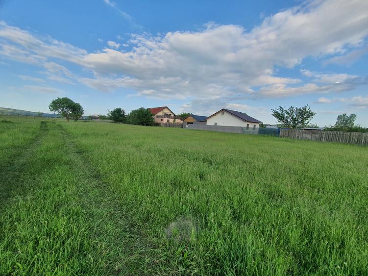 Teren Construcții intravilan de 500 mp, în Bod