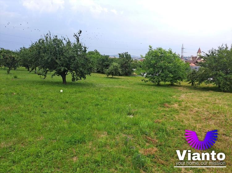 Teren Construcții intravilan de 1100 mp, în Turnișor