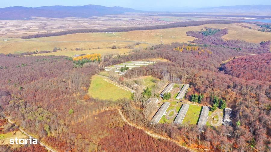 Teren de 186000 mp, în Dumbrăvița