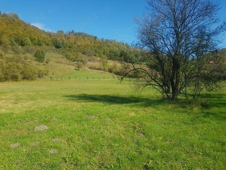 Teren de 4500 mp, în Ciucea