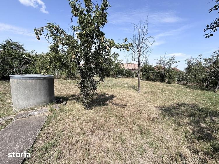 Casa in Miarlau - teren 747 mp - 14