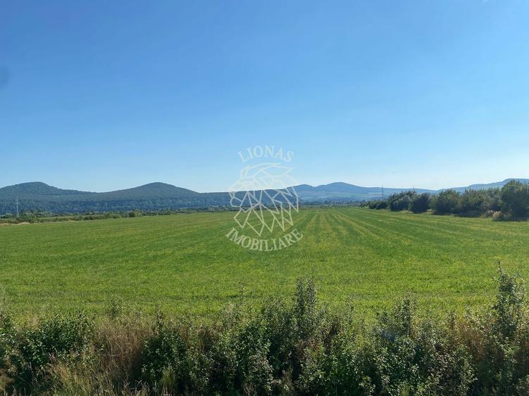 Teren agricol extravilan de 3000 mp, în Șieu-Măgheruș
