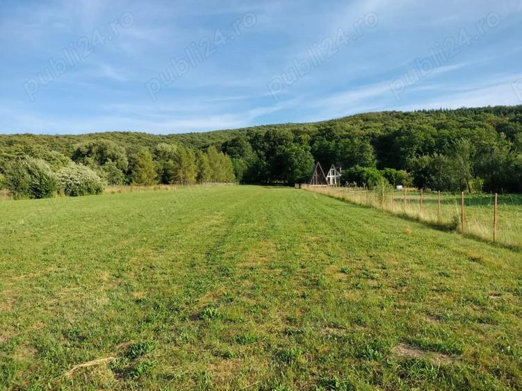 Teren de 5100 mp, în Lisnău