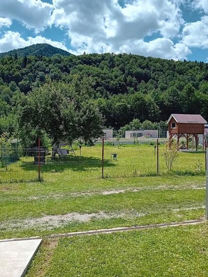 Casă cu Teren 1400 Mp în Lepșa