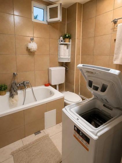 Casă cu 3 camere în Dosu Bricii