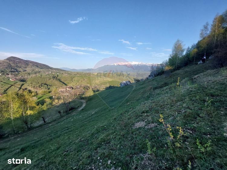 Teren de 11048 mp, în Moieciu