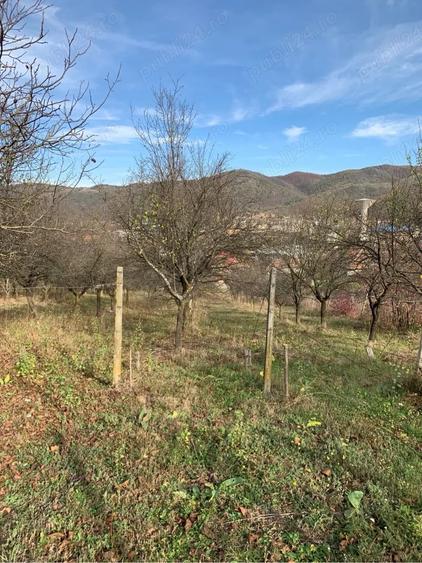 Teren de 4300 mp, în Vest
