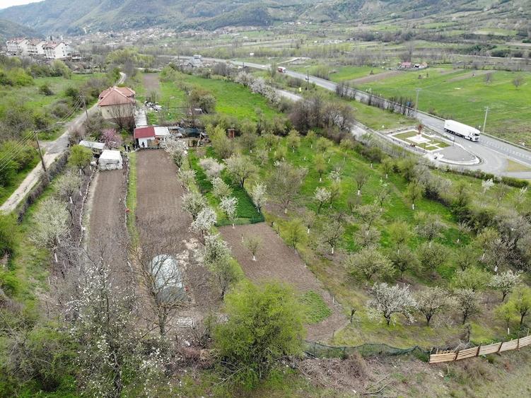 Teren de 5300 mp, în Mehadia