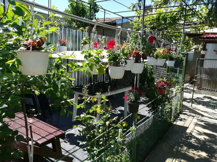 Casă cu 5 camere cu Teren 500 Mp în Central