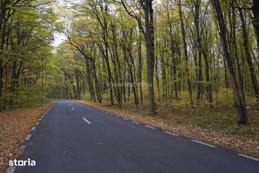 Teren intravilan | Snagov | Izvorani | 2800mp | Stradal