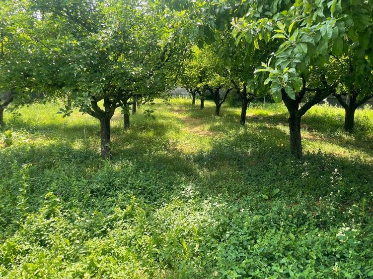 Casă individuală cu 4 camere cu Canalizare în Ghirdoveni