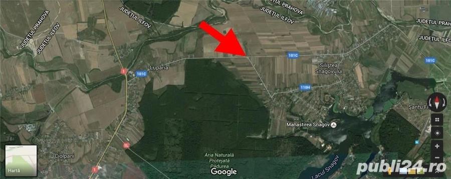 3660 metri teren in Ciolpani, Silistea Snagovului, Ilfov - 3