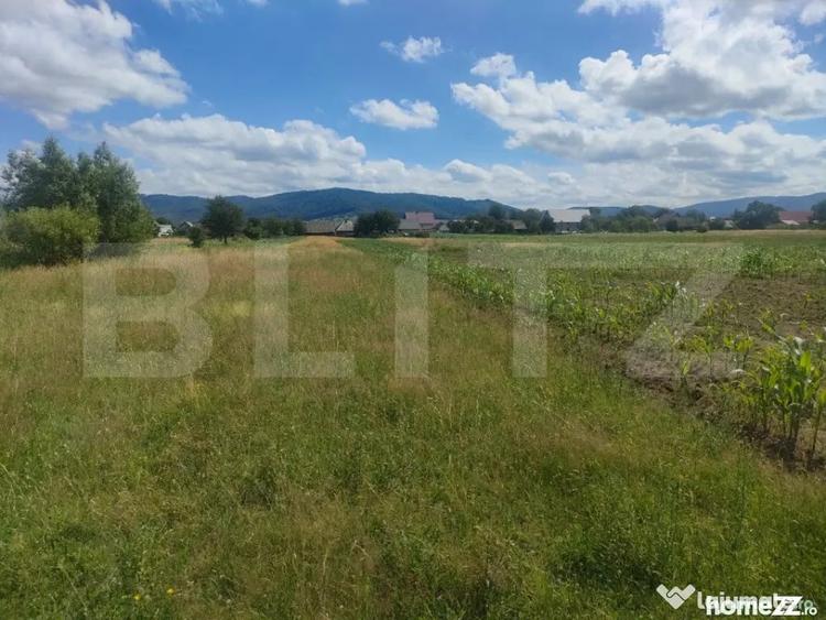 Teren de 6400 mp, în Vicovu de Sus